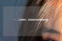 一、工作核心，在信息洪流中精准排雷