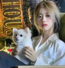 举报抖音视频下架，提示内容与应对指南，举报抖音视频下架会提示什么内容呢