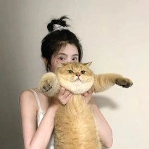 企业负面舆论处理，专业助力化危机为转机，企业负面舆论处理