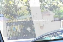 抖音电商舆情怎么样，抖音电商舆情怎么样了