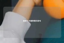 襄阳十字铺舆情抖音号