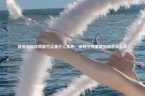 视频号投诉商家方法是什么意思，视频号频繁被投诉会怎么样