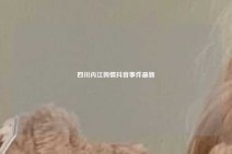 四川内江舆情抖音事件最新