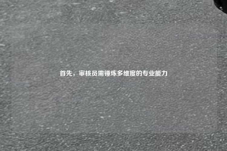 首先，审核员需锤炼多维度的专业能力