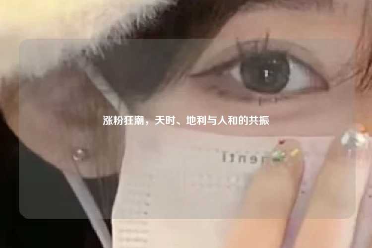 涨粉狂潮,天时、地利与人和的共振