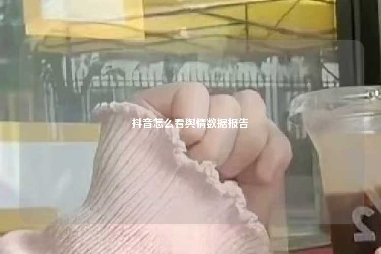 抖音怎么看舆情数据报告