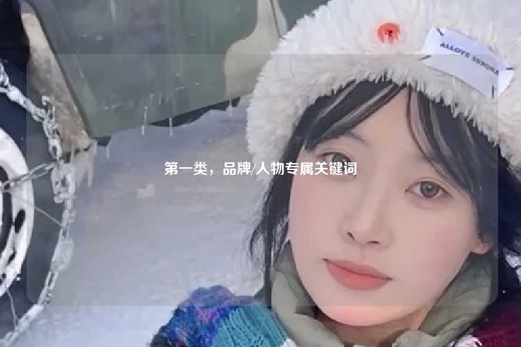 第一类，品牌/人物专属关键词