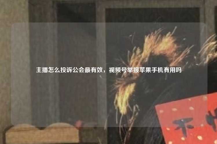 主播怎么投诉公会最有效，视频号举报苹果手机有用吗