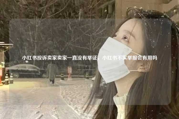 小红书投诉卖家卖家一直没有举证,小红书不实举报会有用吗