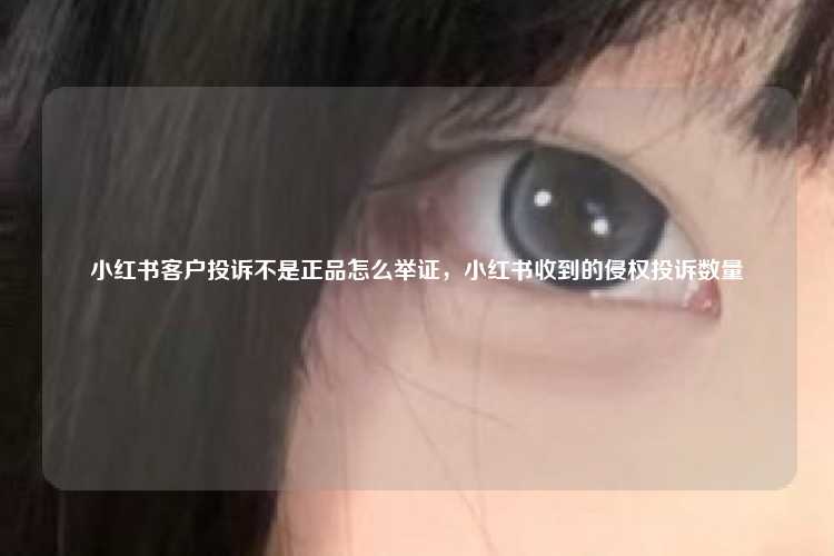 小红书客户投诉不是正品怎么举证,小红书收到的侵权投诉数量