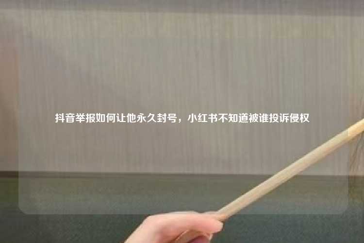 抖音举报如何让他永久封号，小红书不知道被谁投诉侵权