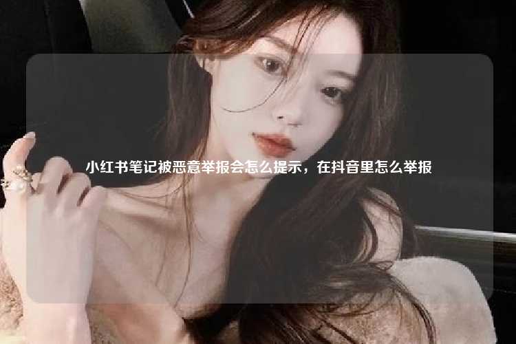 小红书笔记被恶意举报会怎么提示，在抖音里怎么举报